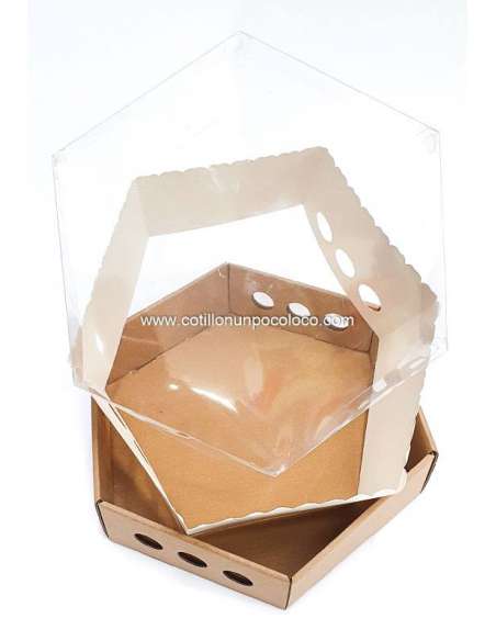 CAJA HEXAGONAL DESAYUNOS 25x25x12