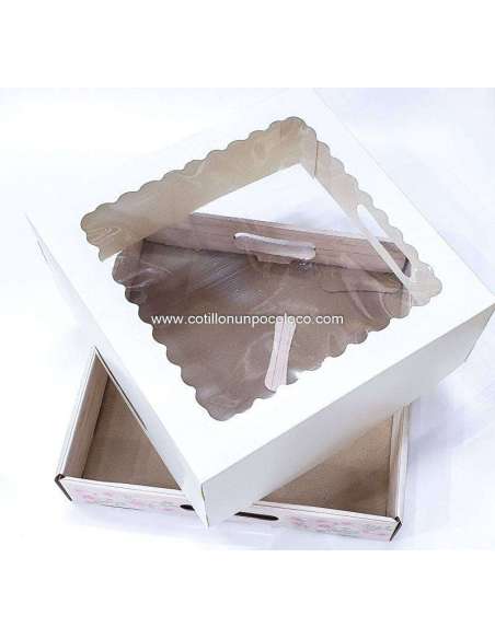 BOX IMPRESA LINEA FLORES C/TAPA VISOR 30x30x12