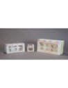 CAJA PARA CUPCAKE DISEÑO F