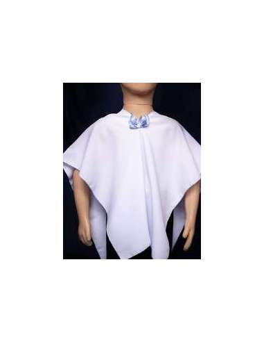 Disfraz PONCHO GAUCHO/VENDEDOR