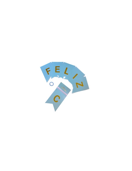 BANDERIN LISO CELESTE
