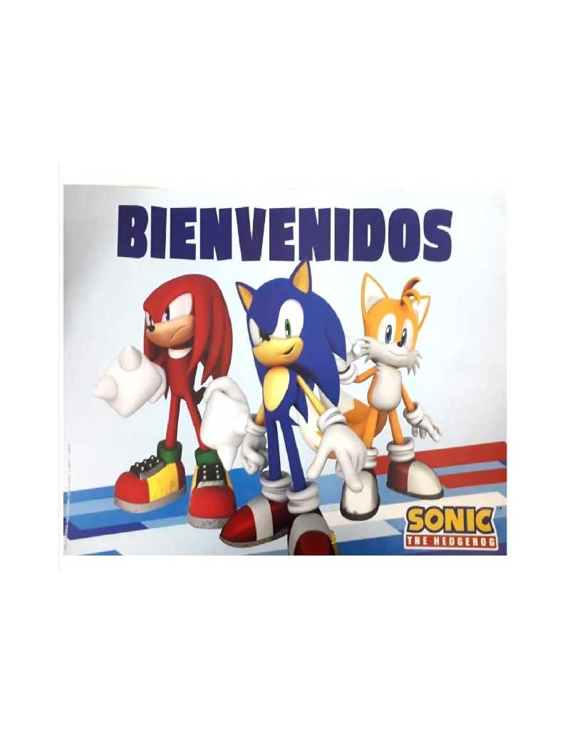 POSTER BIENVENIDOS SONIC x1