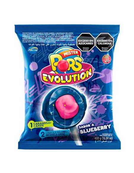 EVOLUTION BLUEBERRY 432g