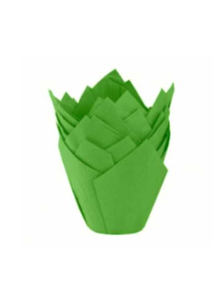 TULIPAS LISAS Nº16 VERDE x50