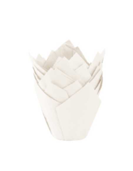TULIPAS LISAS Nº16 BLANCA x50