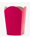 POP CORN FUCSIA x 10