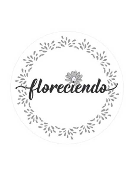 POSAVASOS x12 FRASES COMBINADAS 10cm