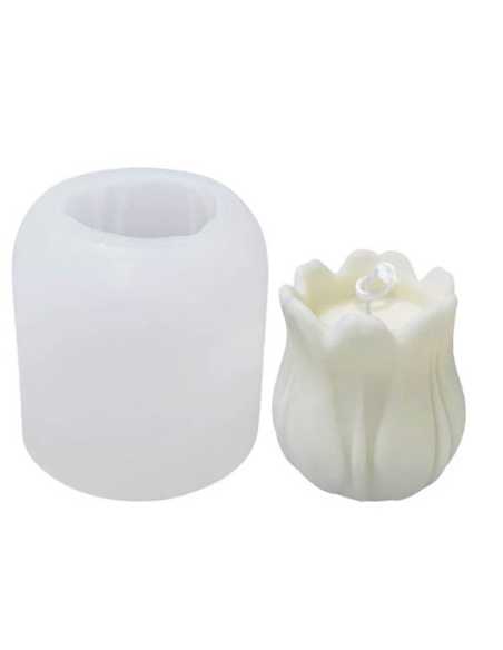 MOLDE RESINA 248g