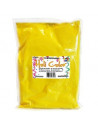 POLVO HOLI. COLOR x 500g AMARILLO 500HCAM