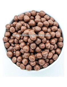 MICRO GALLETA CHOCOLATE x 100 g