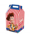 CAJA SORPRESA GRANDE TOY STORY 4 X 6