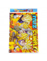 AFICHE FC DRAGON BALL Z x1