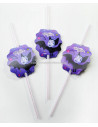SORBETE VAMPIRINA X6