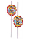 SORBETE PAW PATROL x 6