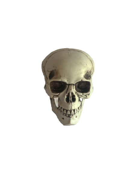 CALAVERA DECO 13x12x16 cm HD108
