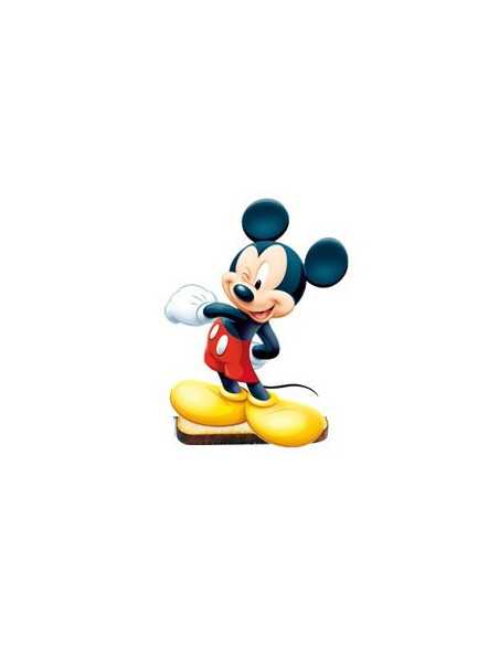 SOUVENIR FIBROFA x25 MICKEY