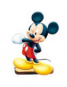 SOUVENIR FIBROFA x25 MICKEY