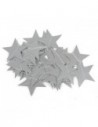 ESTRELLITAS PLATEADAS GLITTER 150cm GUPL10