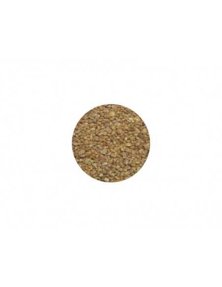 CROCANTE DE MANI X 1 KG